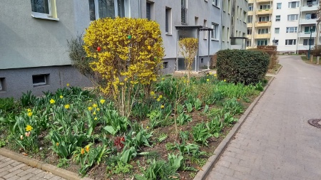 Frühjahresgrüße am Johannesplatz 2026