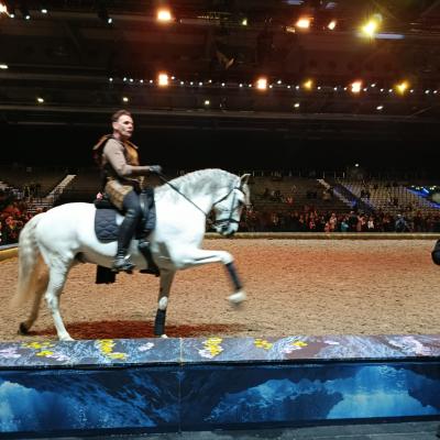 Whatsapp Image 2026 04 20 At 08.05.30